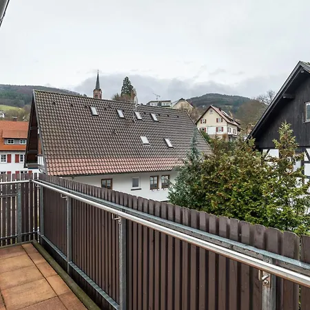 Lejlighedshotel Schusterjunge I Zentral I I Kueche & Bad I Parkplatz Sasbachwalden