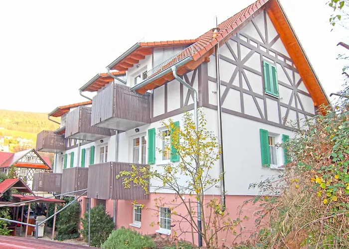 Schusterjunge I Zentral I I Kueche & Bad I Parkplatz Апарт-отель Засбахвальден